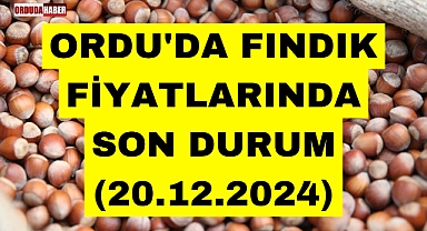 ORDU'DA FINDIK FİYATLARINDA SON DURUM (20.12.2024)