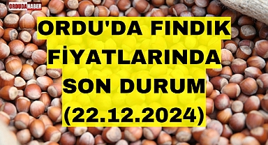 ORDU'DA FINDIK FİYATLARINDA SON DURUM (22.12.2024)