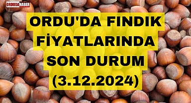 ORDU'DA FINDIK FİYATLARINDA SON DURUM (3.12.2024)