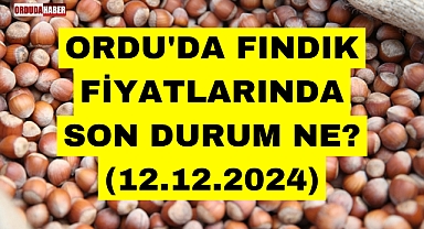 ORDU'DA FINDIK FİYATLARINDA SON DURUM NE? (12.12.2024)