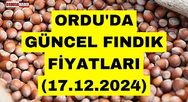 ORDU'DA GÜNCEL FINDIK FİYATLARI (17.12.2024)