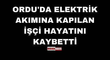 ORDU'DA ELEKTRİK AKIMINA KAPILAN İŞÇİ HAYATINI KAYBETTİ
