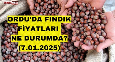 ORDU'DA FINDIK FİYATLARI NE DURUMDA? (7.01.2025)