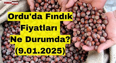 Ordu'da Fındık Fiyatları Ne Durumda? (9.01.2025)