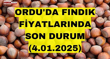 ORDU'DA FINDIK FİYATLARINDA SON DURUM (4.01.2025)