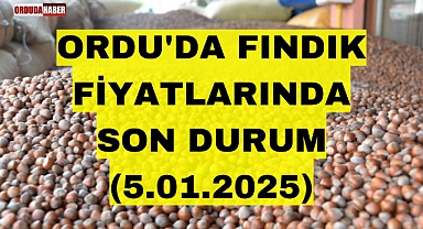 ORDU'DA FINDIK FİYATLARINDA SON DURUM (5.01.2025)