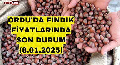 ORDU'DA FINDIK FİYATLARINDA SON DURUM (8.01.2025)