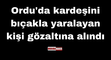 Ordu'da kardeşini bıçakla yaralayan kişi gözaltına alındı