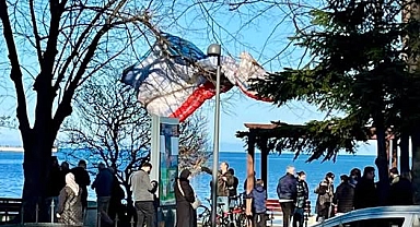 Ordu'da Paraşüt Kazası: Paraşütçü Ağaca Düşerek Yaralandı