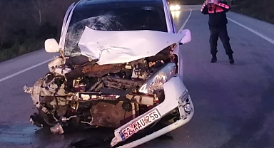 Ordu'da trafik kazasında 2 kişi öldü, 5 kişi yaralandı