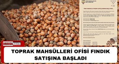 TOPRAK MAHSÜLLERİ OFİSİ FINDIK SATIŞINA BAŞLADI