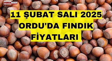 11 ŞUBAT SALI 2025 ORDU'DA FINDIK FİYATLARI 
