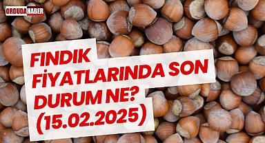 FINDIK FİYATLARINDA SON DURUM NE? (15.02.2025)