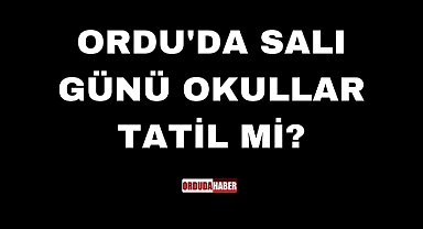 ORDU'DA 25 ŞUBAT SALI GÜNÜ OKULLAR TATİL Mİ?