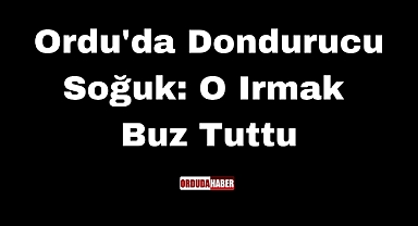 Ordu'da Dondurucu Soğuk: O Irmak Buz Tuttu