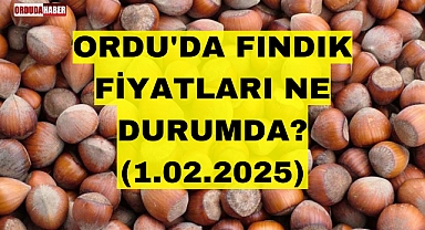 ORDU'DA FINDIK FİYATLARI NE DURUMDA? (1.02.2025)
