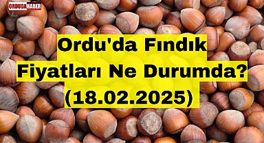 Ordu'da Fındık Fiyatları Ne Durumda? (18.02.2025)