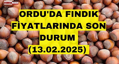 ORDU'DA FINDIK FİYATLARINDA SON DURUM (13.02.2025)