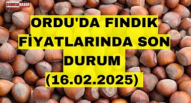 ORDU'DA FINDIK FİYATLARINDA SON DURUM (16.02.2025)