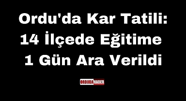 Ordu'da Kar Tatili: 14 İlçede Eğitime 1 Gün Ara Verildi