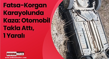 Fatsa-Korgan Karayolunda Kaza: Otomobil Takla Attı, 1 Yaralı