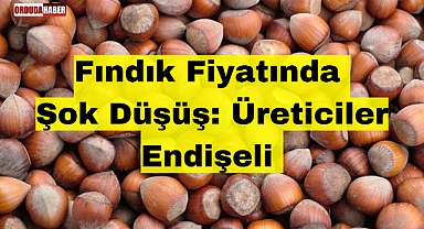 Fındık Fiyatında Şok Düşüş: Üreticiler Endişeli