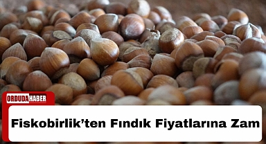 Fiskobirlik’ten Fındık Fiyatlarına Zam
