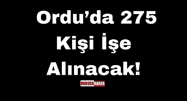  Ordu’da 275 Kişi İşe Alınacak!