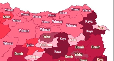 Ordu'da En Çok Hangi Soyadı Kullanılıyor?
