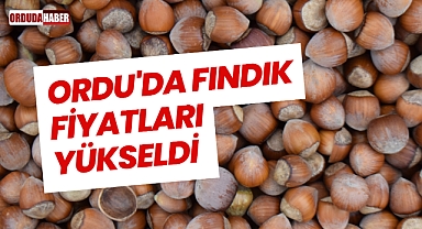 Ordu'da Fındık Fiyatları Yükseldi