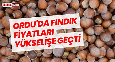 Ordu'da Fındık Fiyatları Yükselişe Geçti