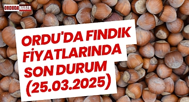Ordu'da Fındık Fiyatlarında Son Durum (25.03.2025)