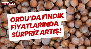 Ordu’da Fındık Fiyatlarında Sürpriz Artış!