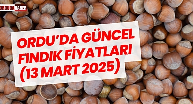 Ordu’da Güncel Fındık Fiyatları (13 Mart 2025)