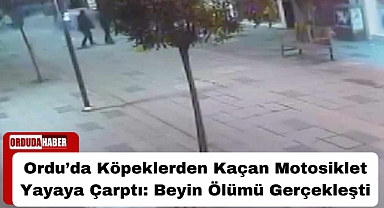 Ordu’da Köpeklerden Kaçan Motosiklet Yayaya Çarptı: Beyin Ölümü Gerçekleşti