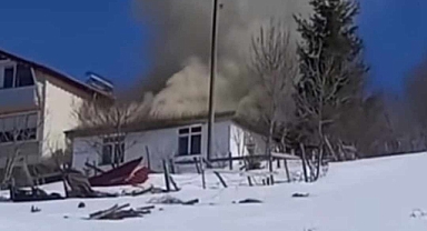 Ordu’nun Aybastı İlçesinde Yangın Paniği