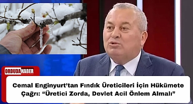 Cemal Enginyurt’tan Fındık Üreticileri İçin Hükümete Çağrı: “Üretici Zorda, Devlet Acil Önlem Almalı”
