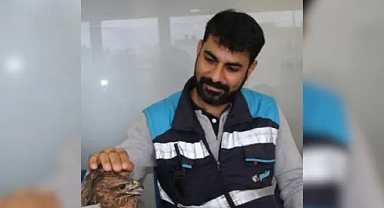 Ordu'da Elektrik Direğinde Feci Kaza: Bayram Güneş Hayatını Kaybetti