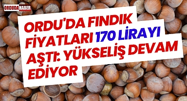 Ordu'da Fındık Fiyatları 170 Lirayı Aştı: Yükseliş Devam Ediyor
