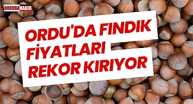 Ordu'da Fındık Fiyatları Rekor Kırıyor