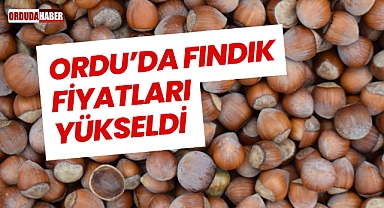 Ordu’da Fındık Fiyatları Yükseldi