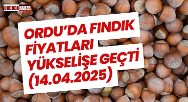 Ordu’da Fındık Fiyatları Yükselişe Geçti (14.04.2025)