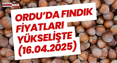 Ordu’da Fındık Fiyatları Yükselişte (16.04.2025)