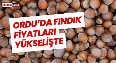 Ordu’da Fındık Fiyatları Yükselişte