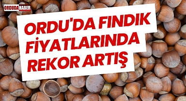 Ordu'da Fındık Fiyatlarında Rekor Artış