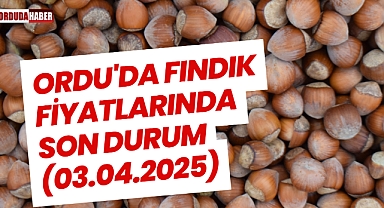 Ordu'da Fındık Fiyatlarında Son Durum (03.04.2025)