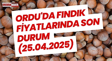 Ordu'da Fındık Fiyatlarında Son Durum (25.04.2025)