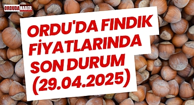Ordu'da Fındık Fiyatlarında Son Durum (29.04.2025)