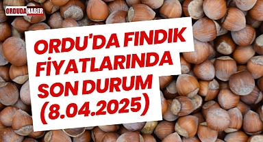 Ordu'da Fındık Fiyatlarında Son Durum (8.04.2025)