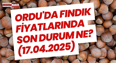 Ordu'da Fındık Fiyatlarında Son Durum Ne? (17.04.2025)